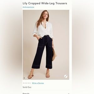 Anthropologie Lily wide‎ leg crops. NWOT. Sold out at Anthro . Retail 120